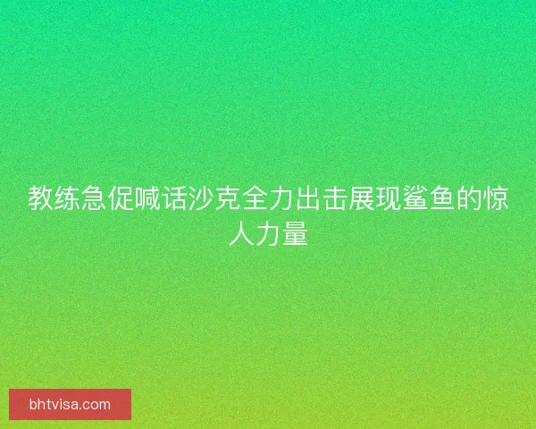 教练急促喊话沙克全力出击展现鲨鱼的惊人力量